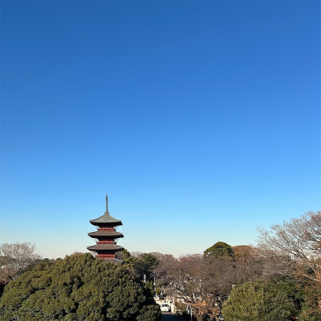 f:id:koshikakeol:20241216190252j:image