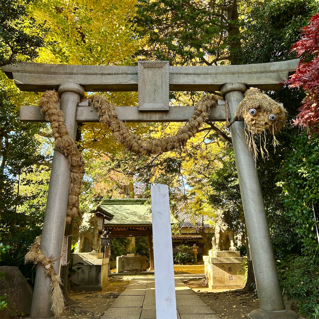f:id:koshikakeol:20241216200707j:image
