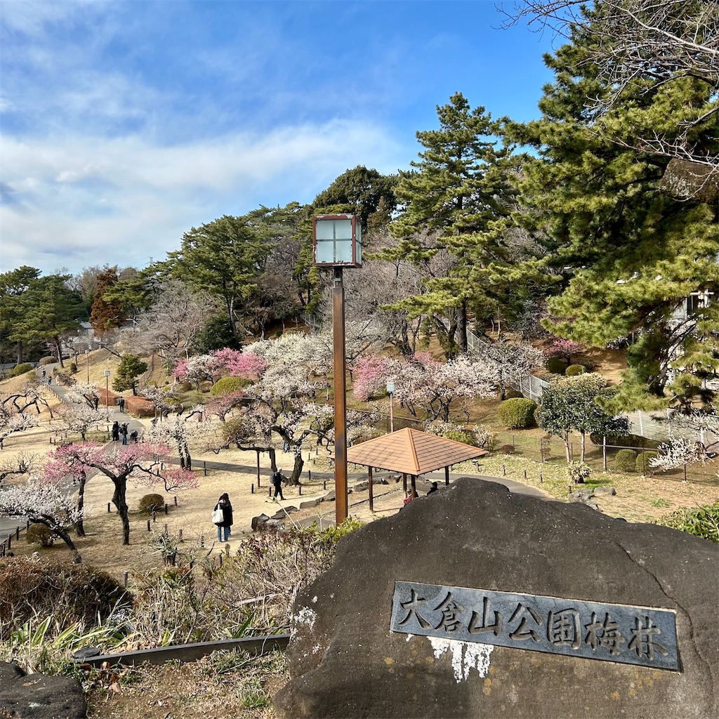 f:id:koshikakeol:20250220180217j:image