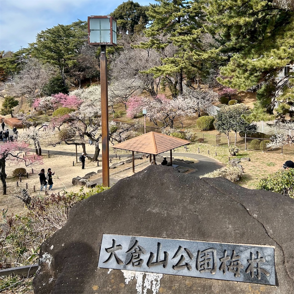 f:id:koshikakeol:20250220180221j:image