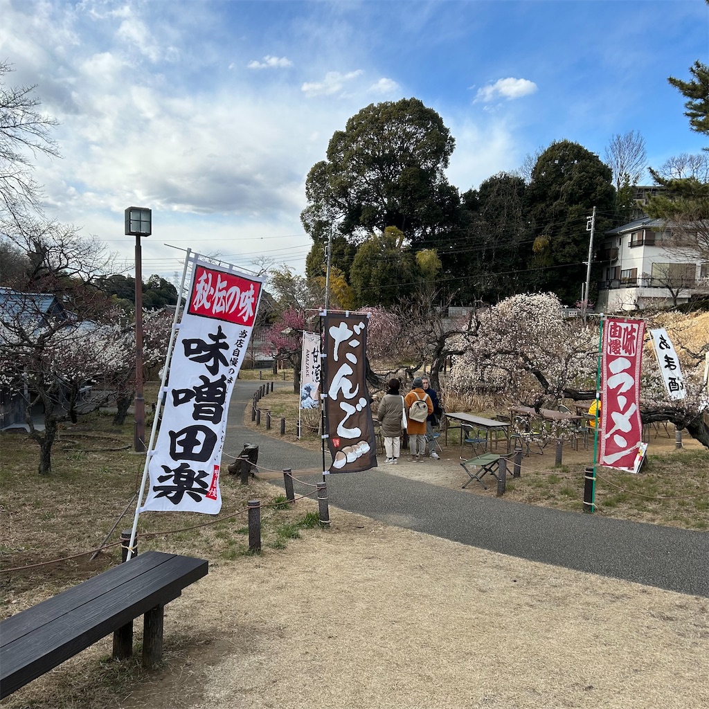 f:id:koshikakeol:20250220180309j:image