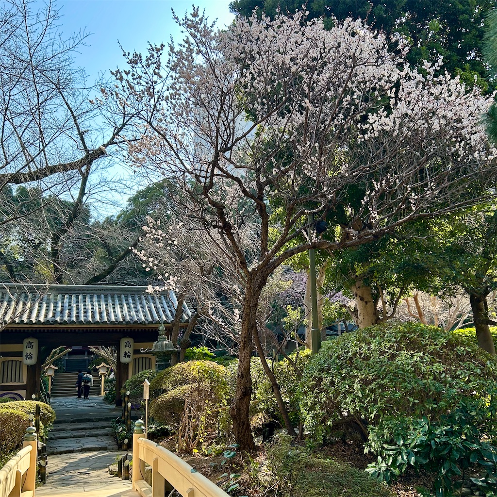 f:id:koshikakeol:20250302171045j:image