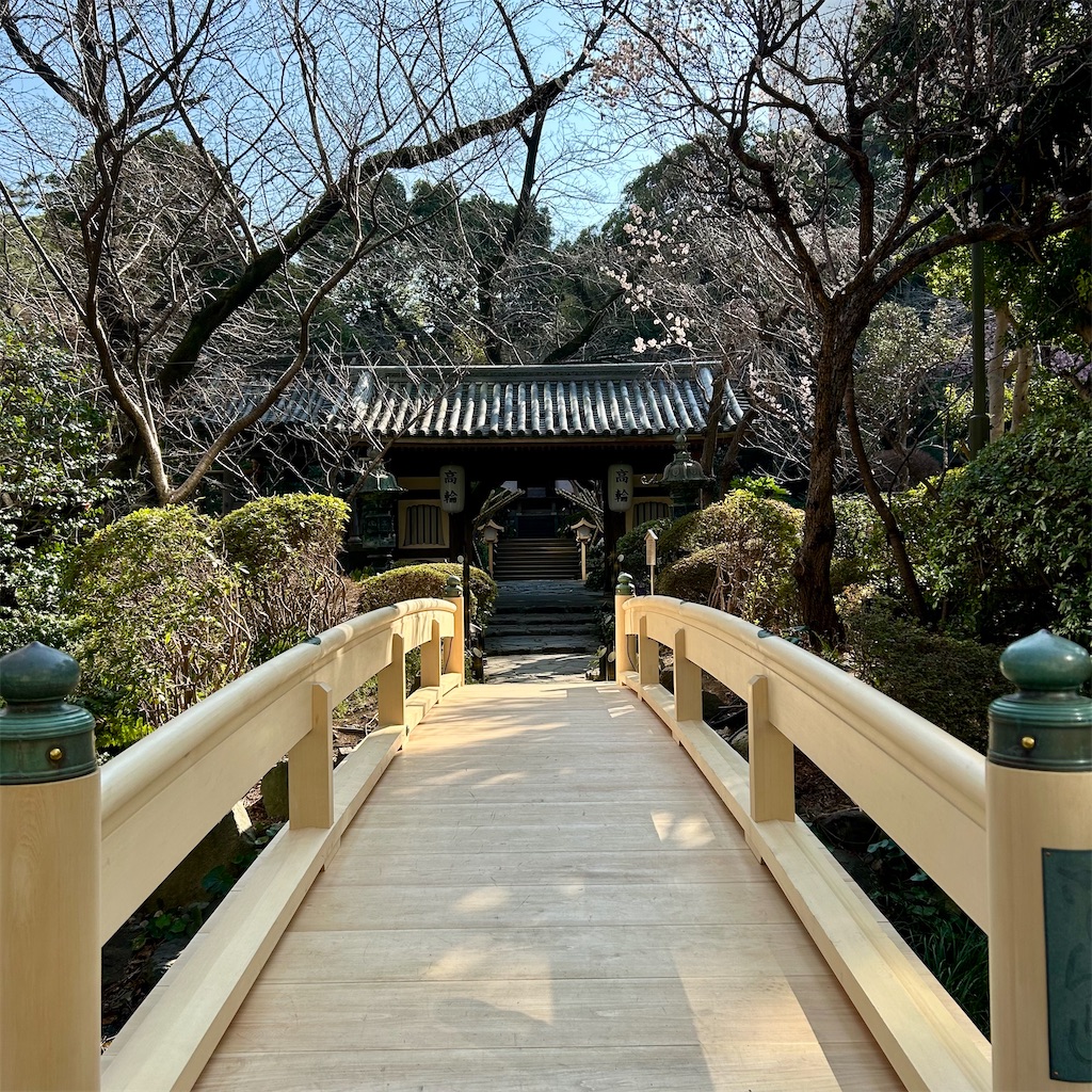 f:id:koshikakeol:20250302171202j:image