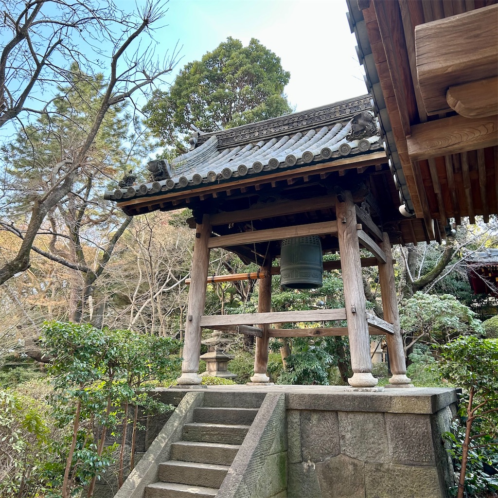 f:id:koshikakeol:20250302171223j:image
