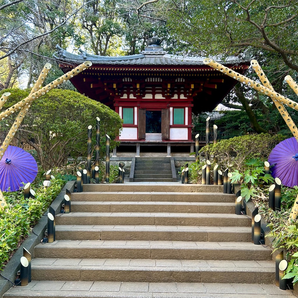 f:id:koshikakeol:20250302171238j:image