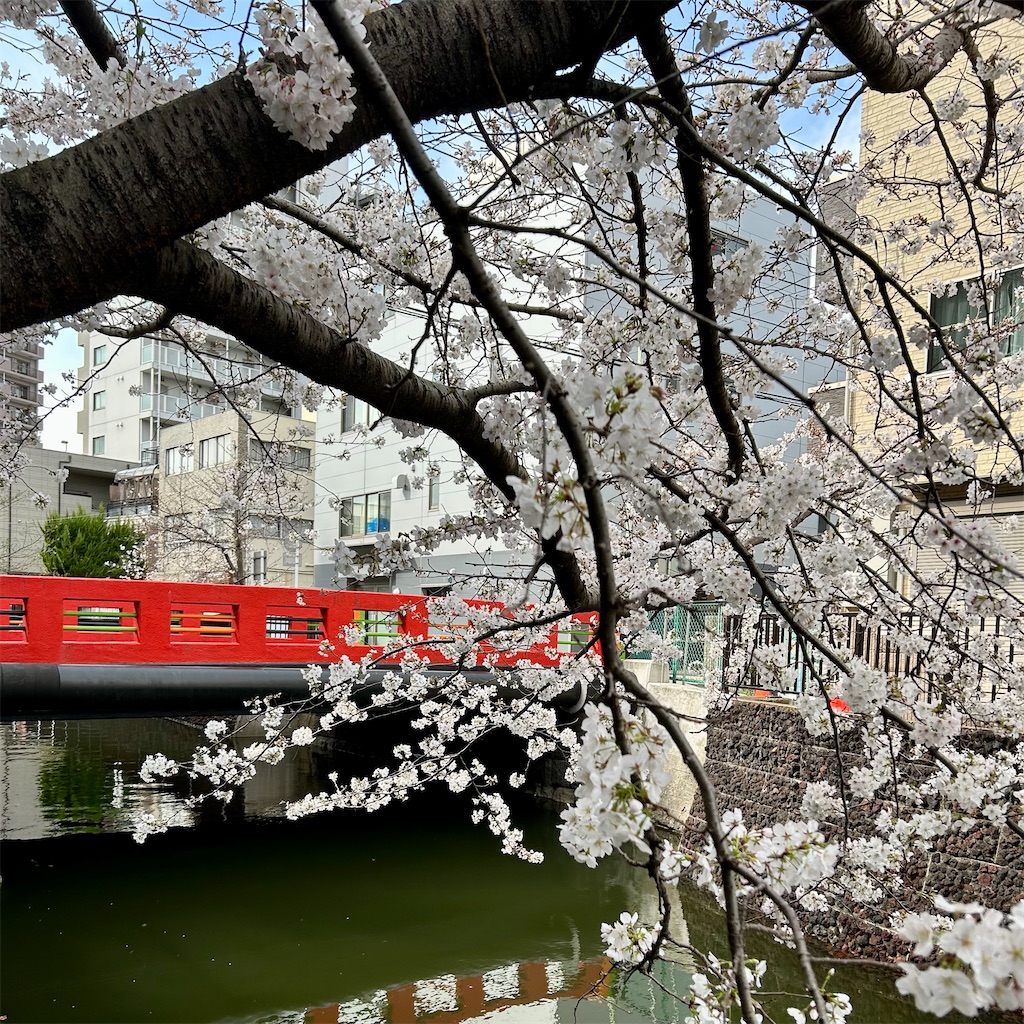 f:id:koshikakeol:20250328165124j:image