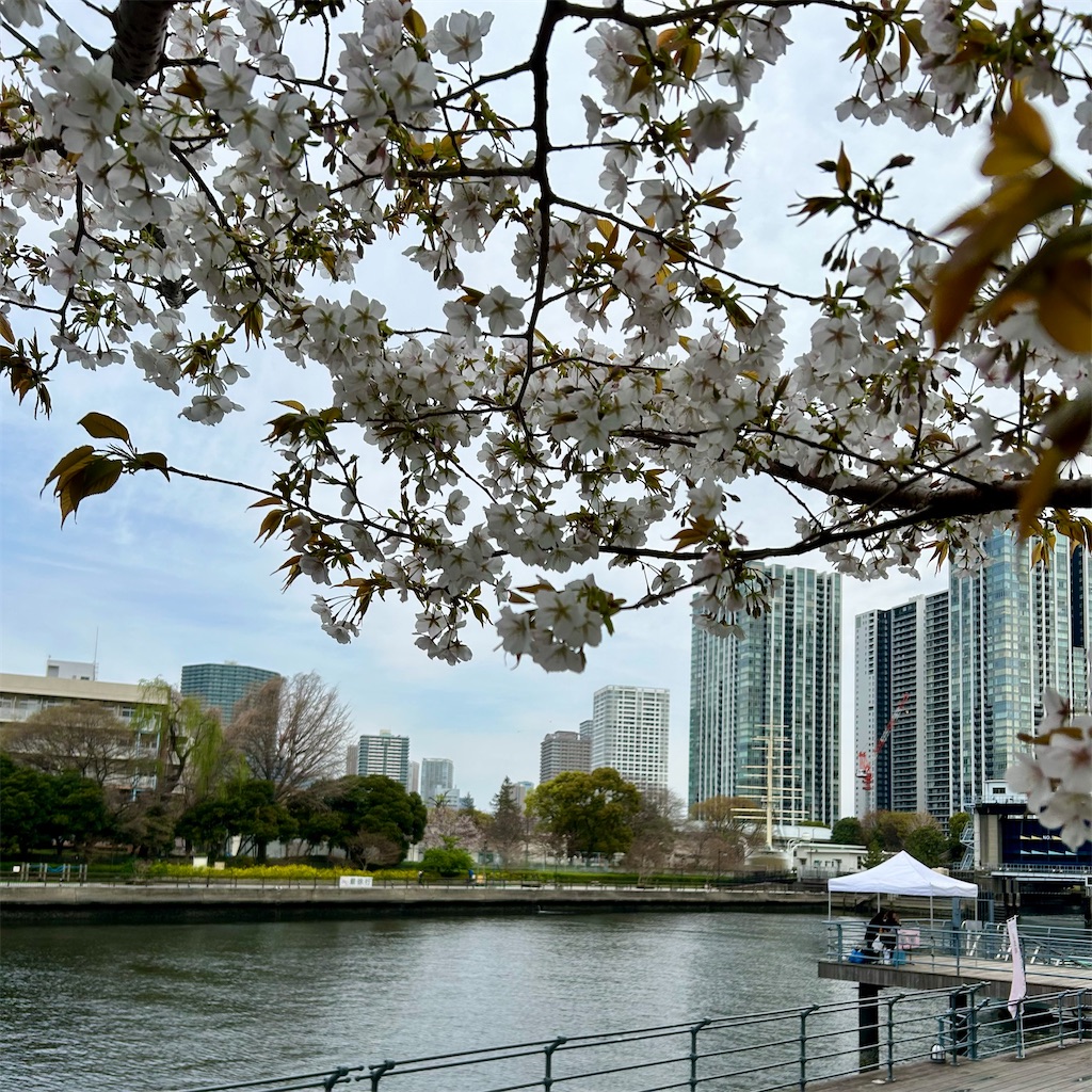 f:id:koshikakeol:20250330131629j:image