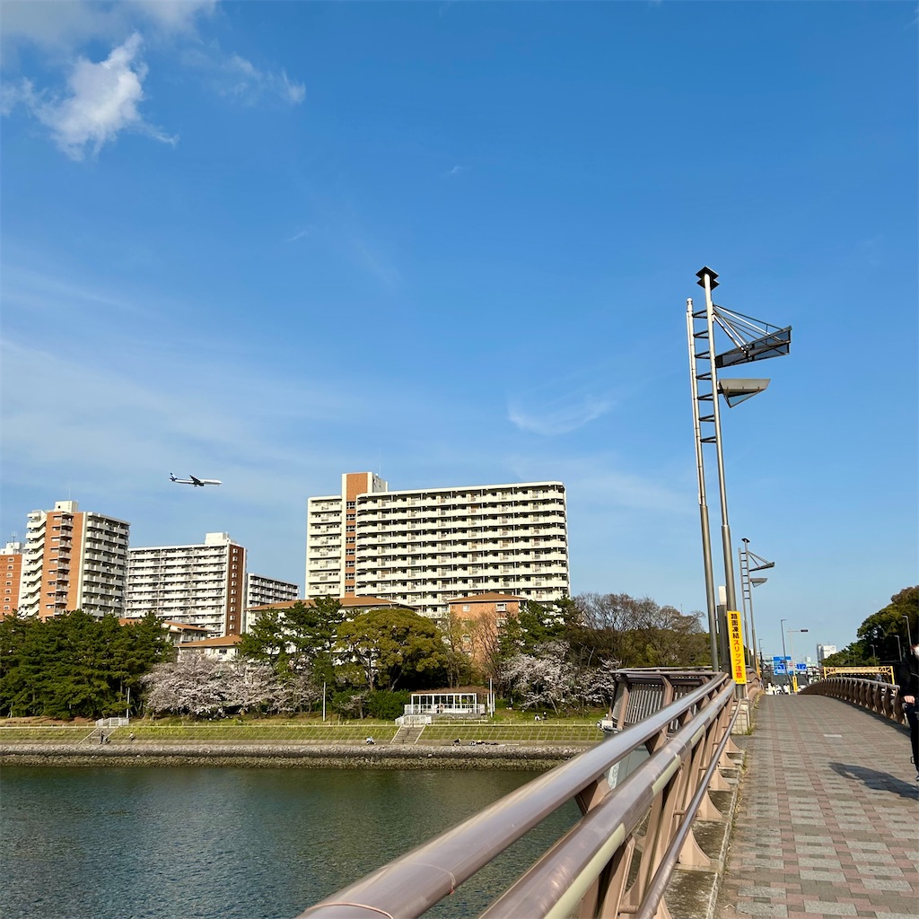 f:id:koshikakeol:20250405184149j:image