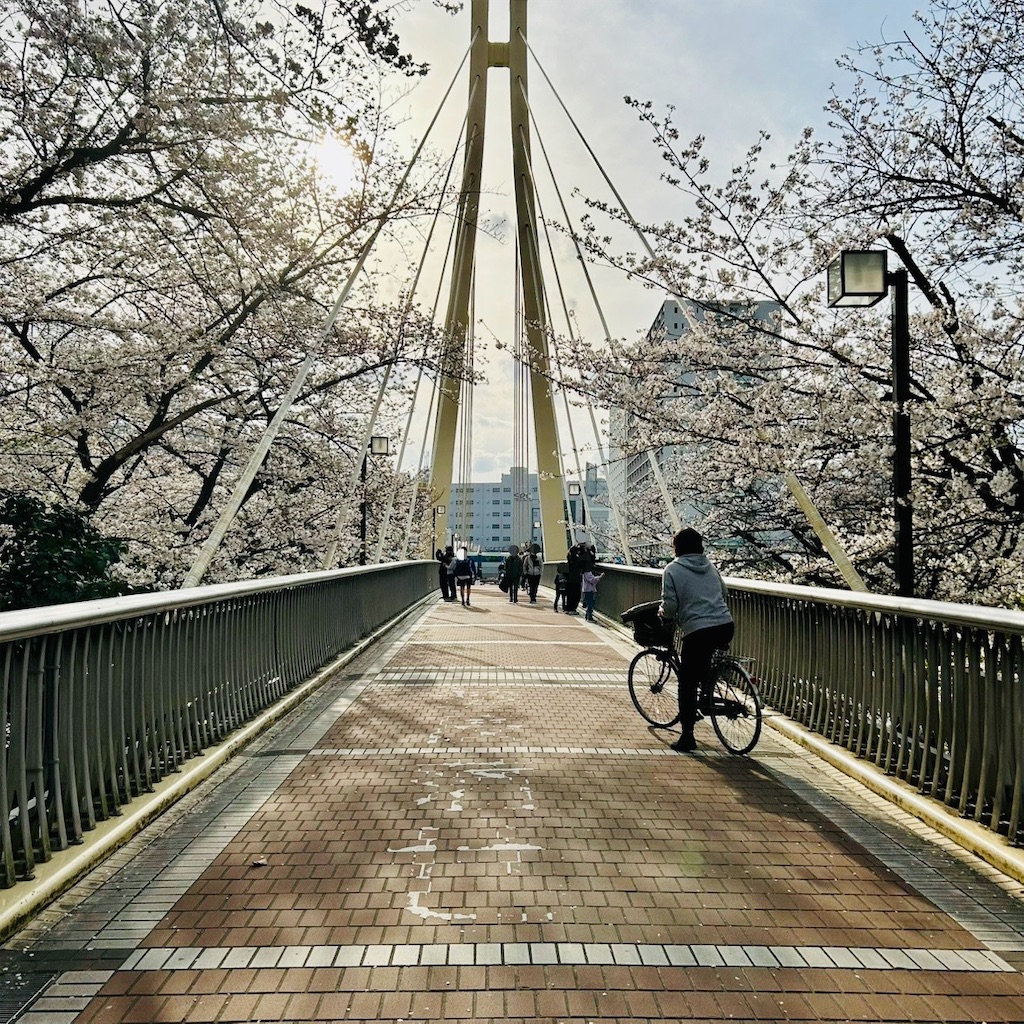 f:id:koshikakeol:20250405184208j:image