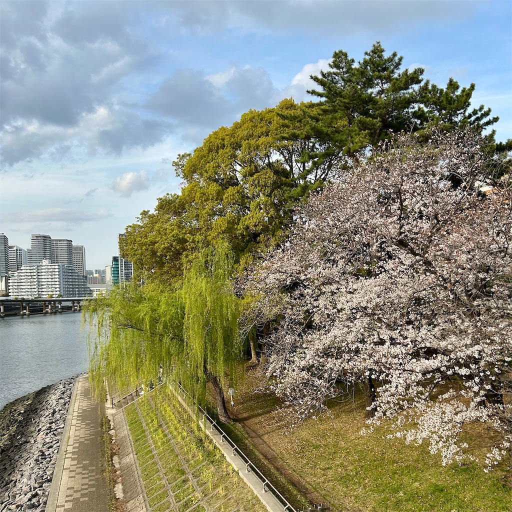 f:id:koshikakeol:20250405184226j:image