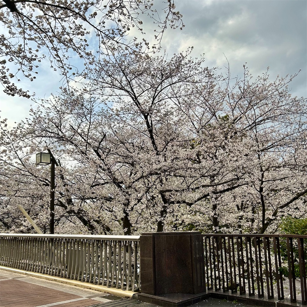 f:id:koshikakeol:20250405184238j:image