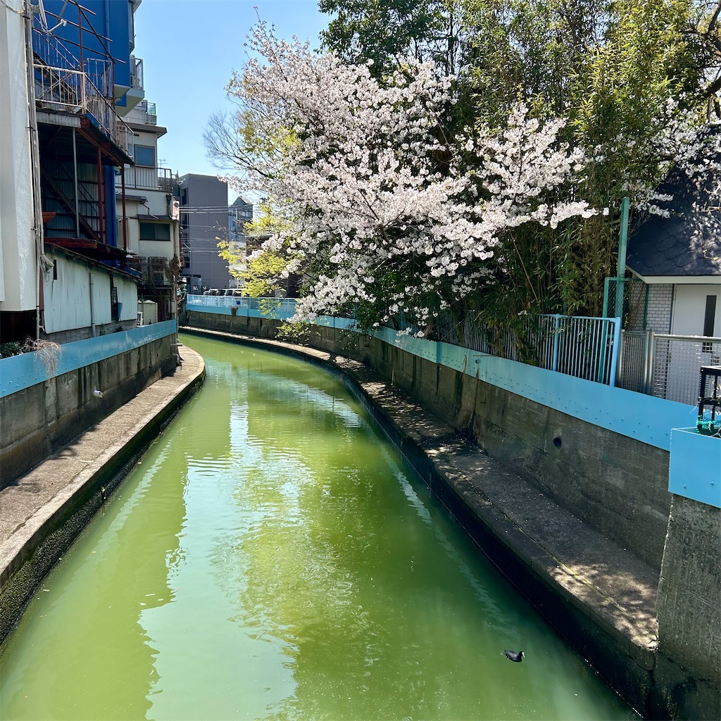 f:id:koshikakeol:20250405184725j:image
