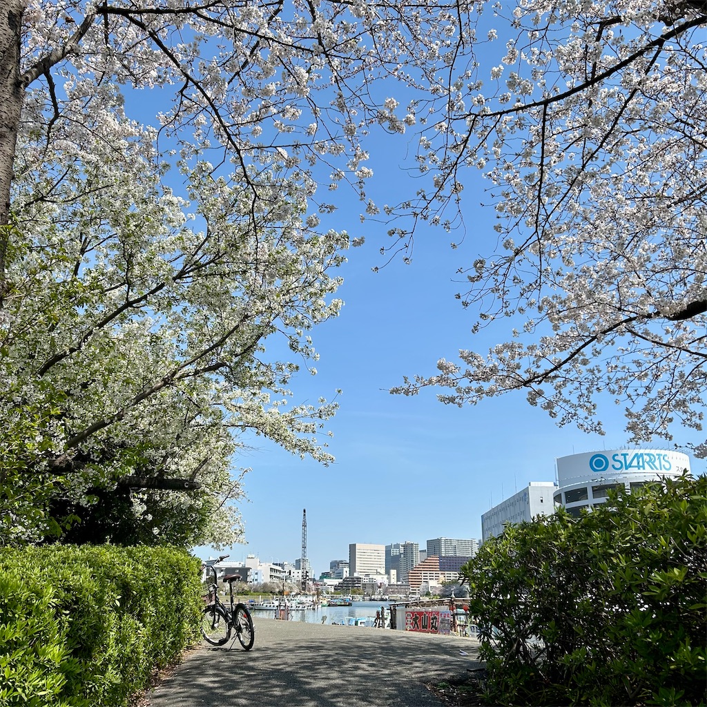 f:id:koshikakeol:20250405184831j:image