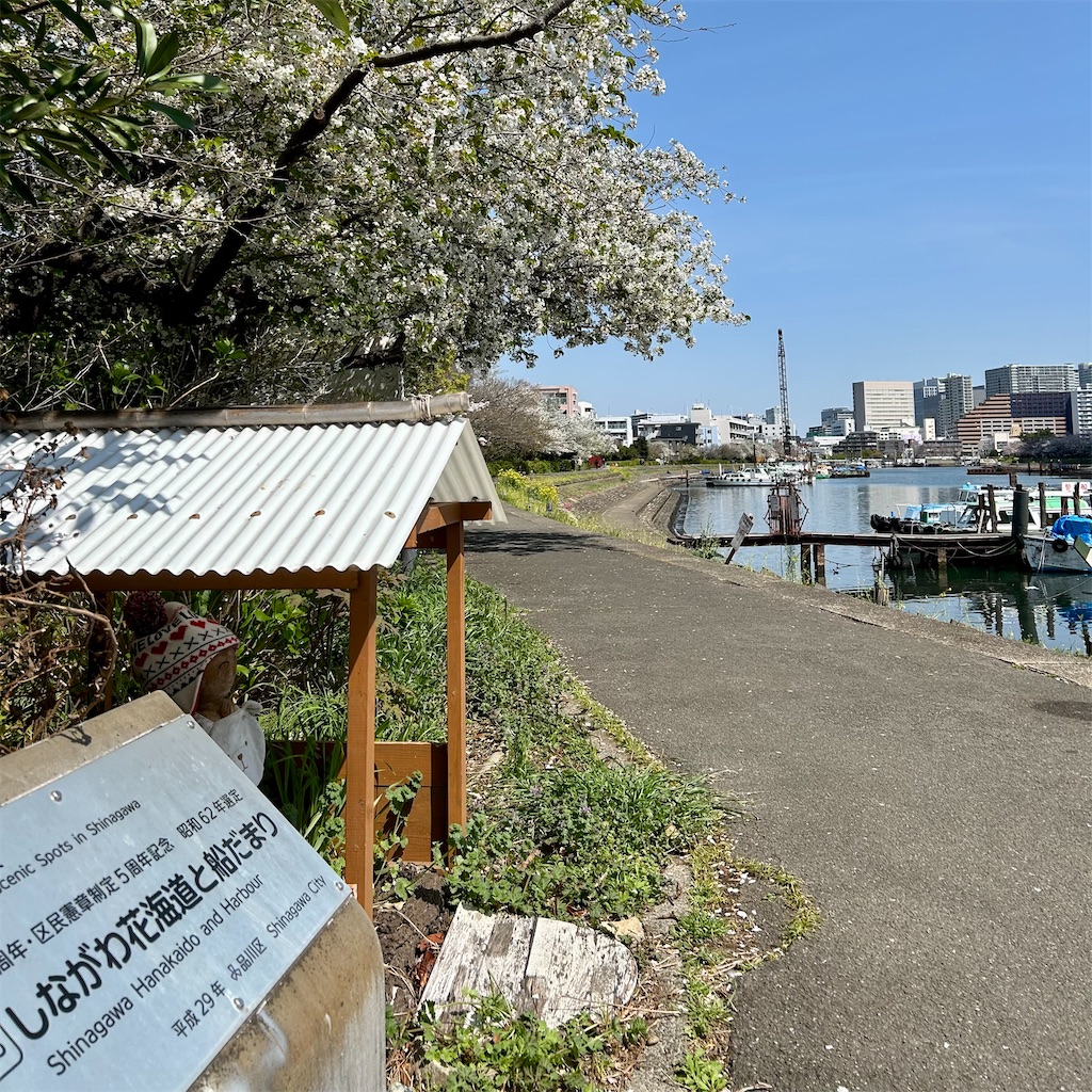 f:id:koshikakeol:20250405184849j:image