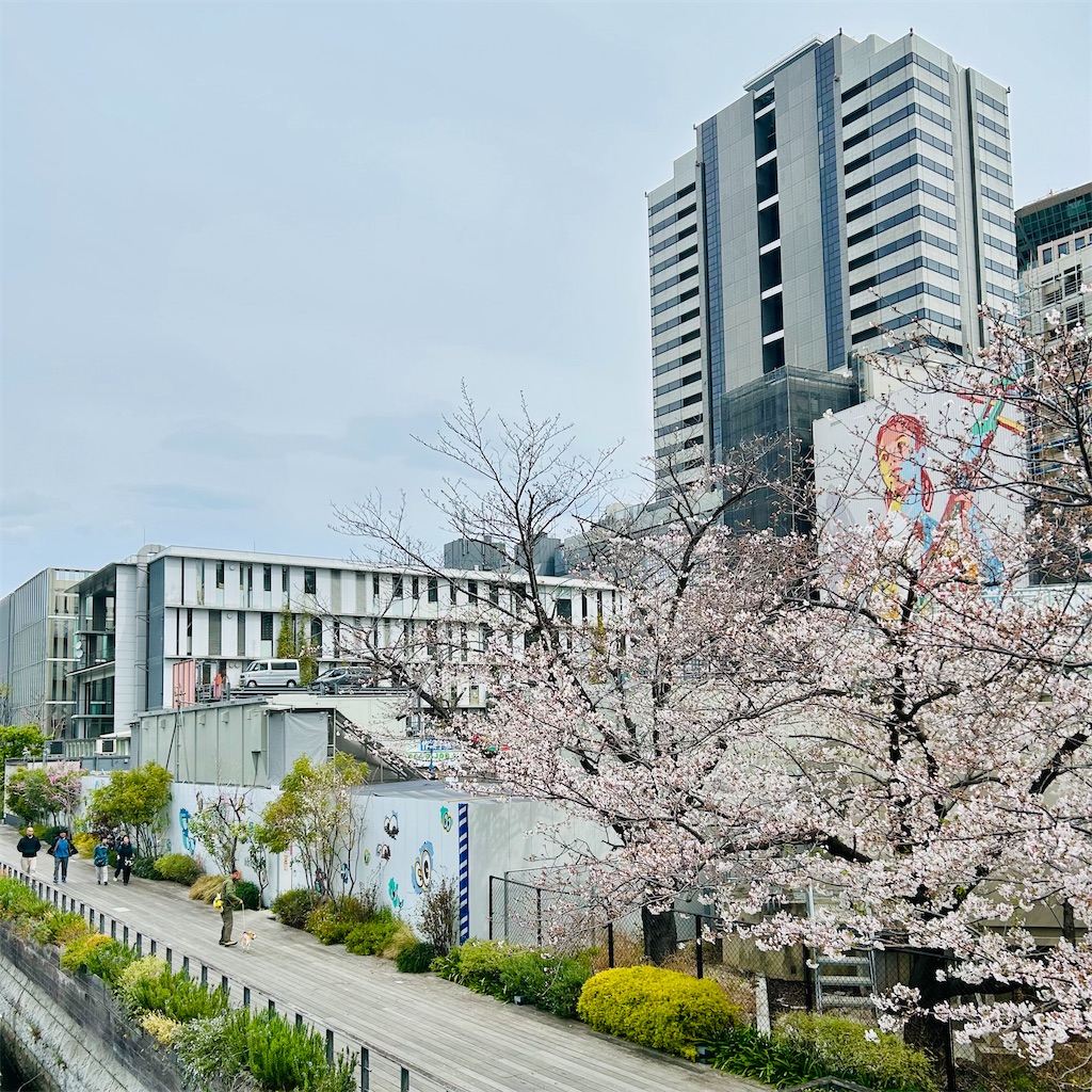 f:id:koshikakeol:20250406111622j:image