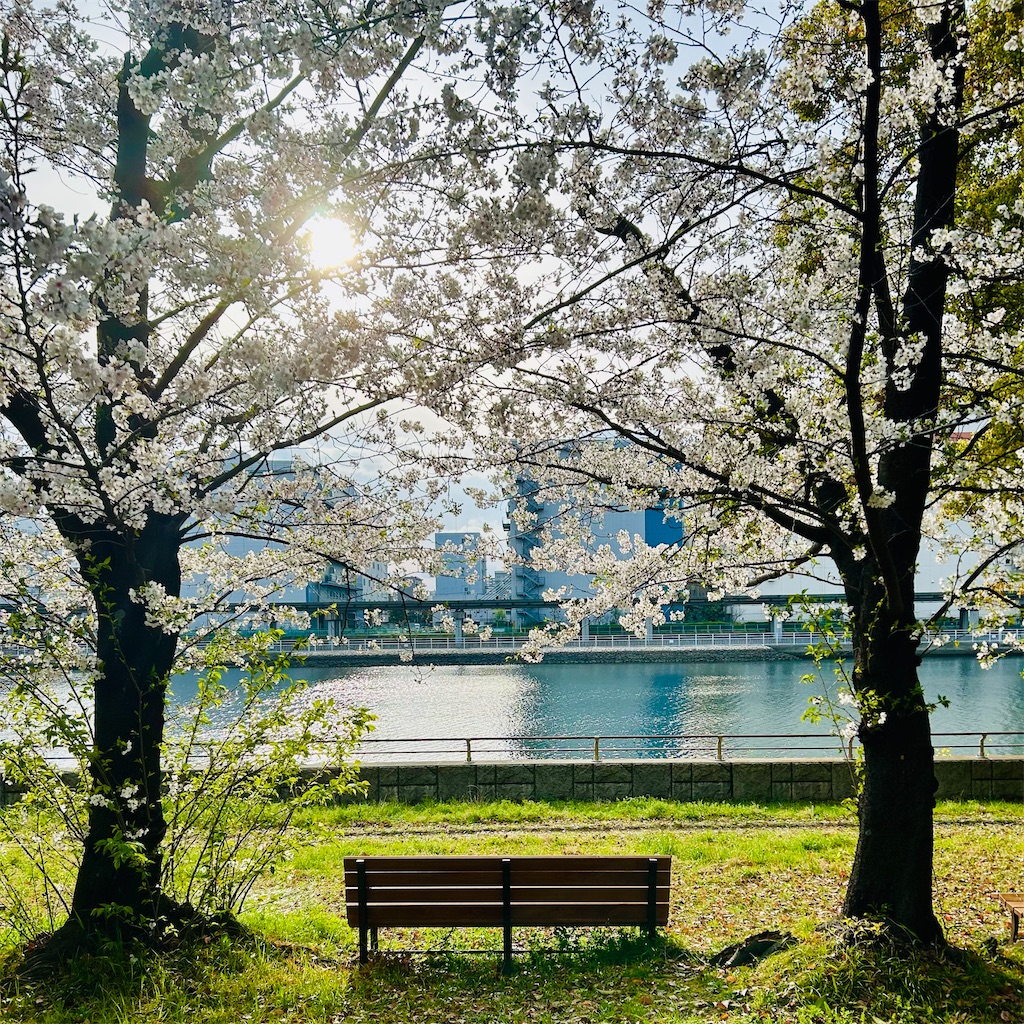 f:id:koshikakeol:20250406112402j:image