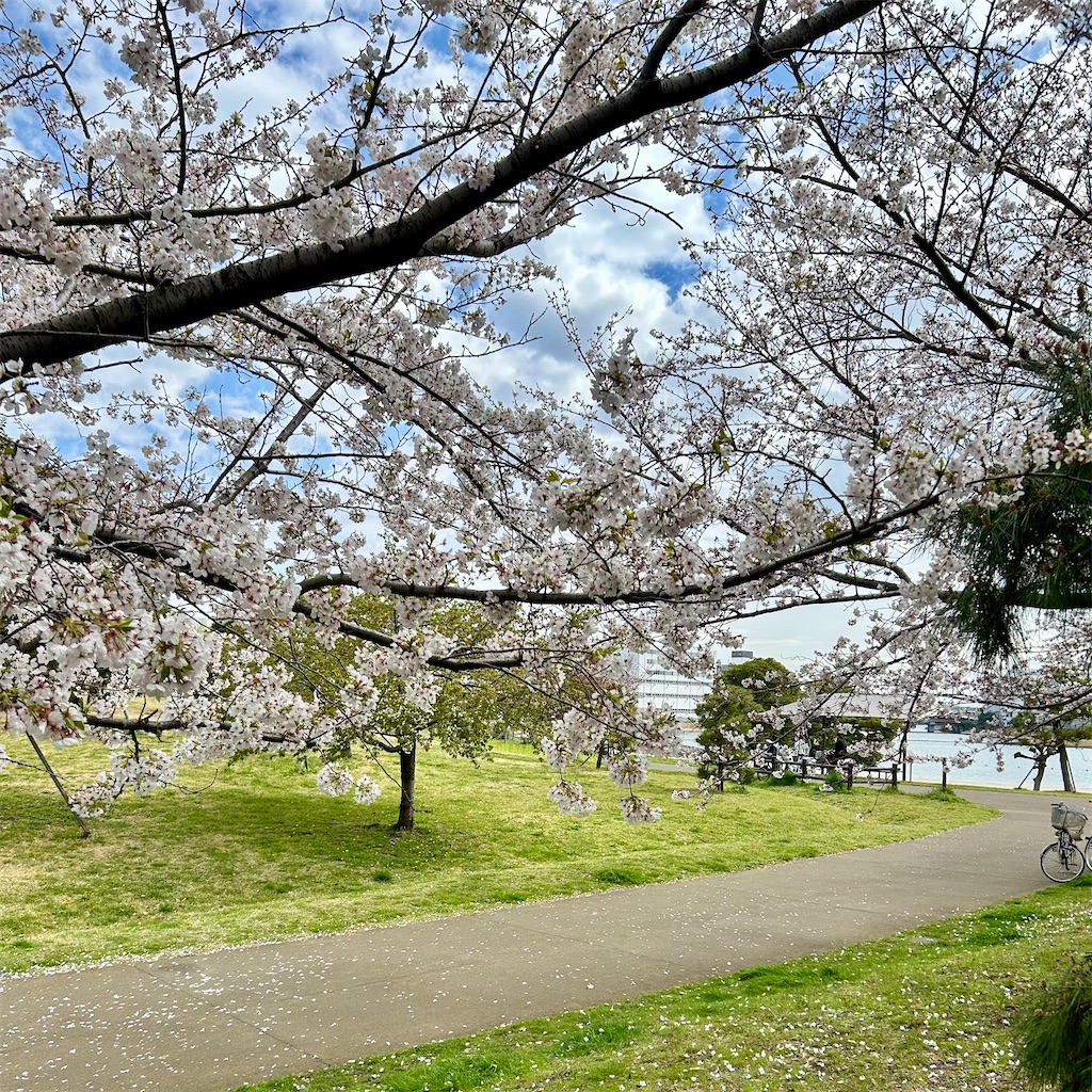 f:id:koshikakeol:20250406163606j:image