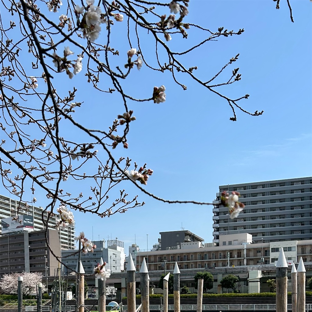 f:id:koshikakeol:20250407074208j:image