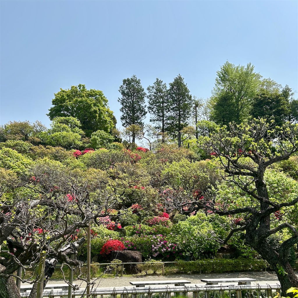 f:id:koshikakeol:20250419192107j:image f:id:koshikakeol:20250419192107j:image