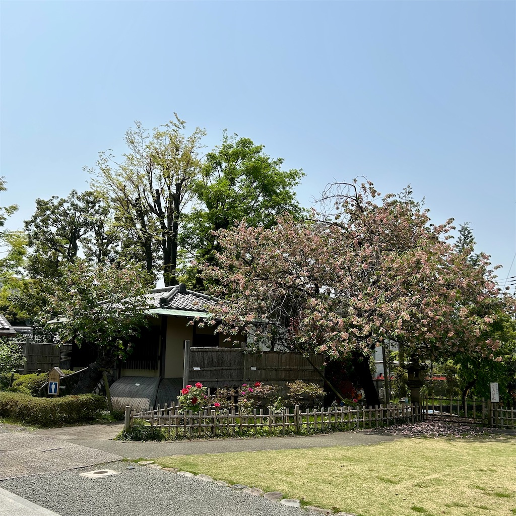 f:id:koshikakeol:20250419192249j:image f:id:koshikakeol:20250419192249j:image