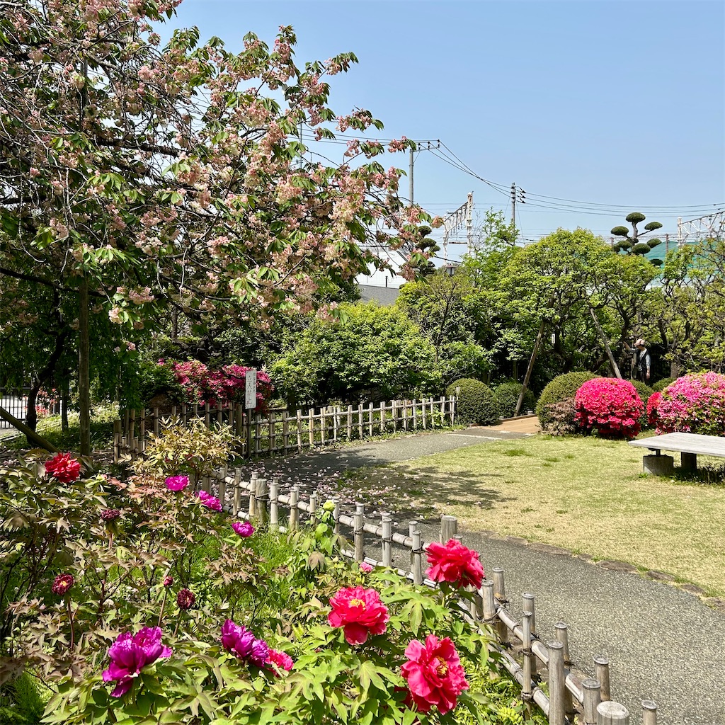 f:id:koshikakeol:20250419192330j:image f:id:koshikakeol:20250419192330j:image