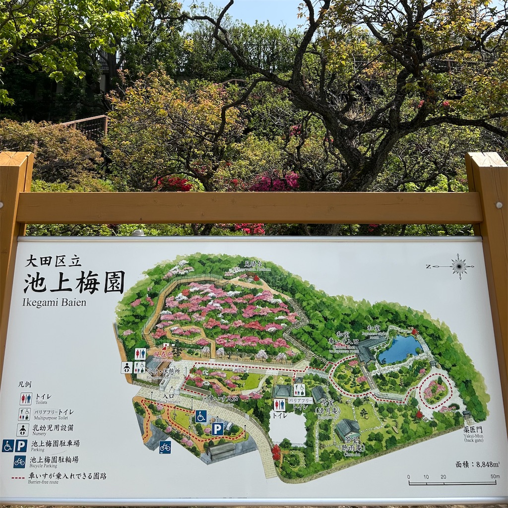 f:id:koshikakeol:20250419192536j:image f:id:koshikakeol:20250419192536j:image