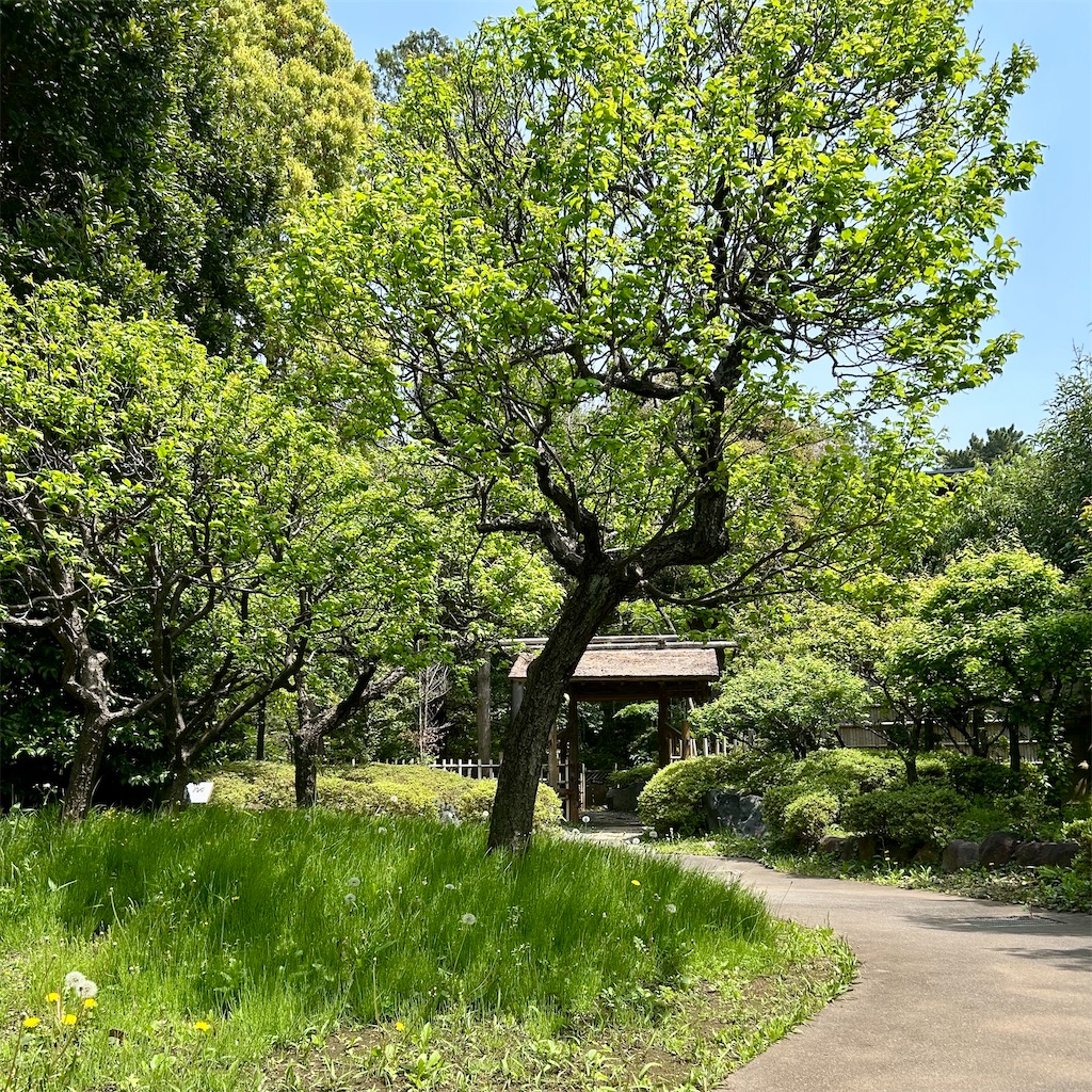 f:id:koshikakeol:20250419192830j:image f:id:koshikakeol:20250419192830j:image