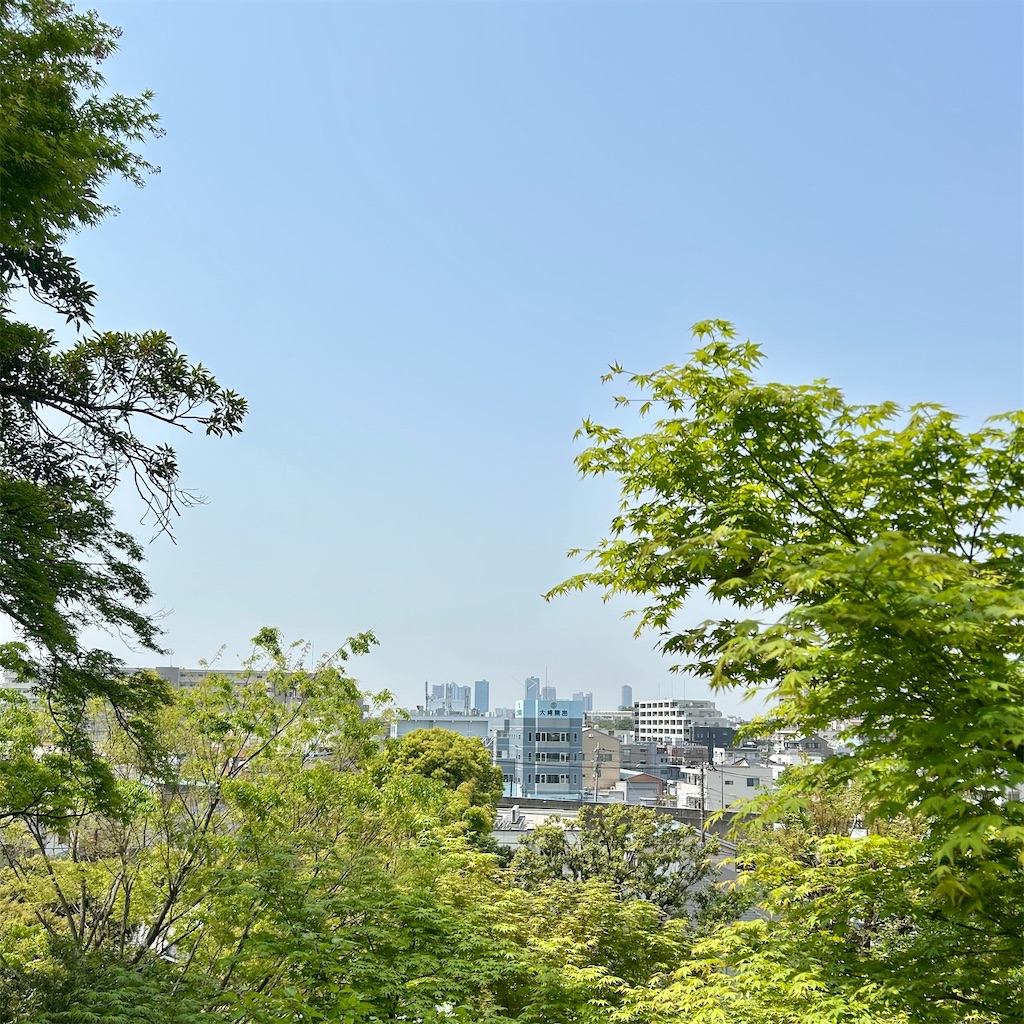 f:id:koshikakeol:20250419192839j:image f:id:koshikakeol:20250419192839j:image