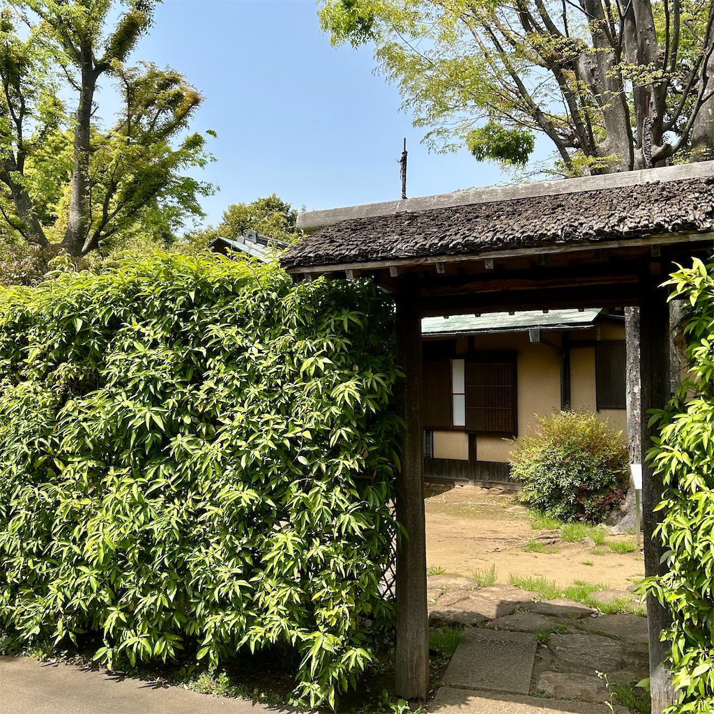 f:id:koshikakeol:20250419193454j:image f:id:koshikakeol:20250419193454j:image