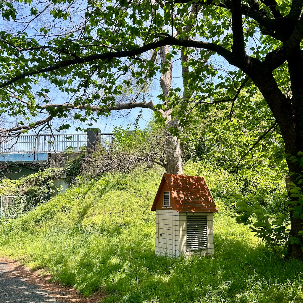 f:id:koshikakeol:20250427123652j:image