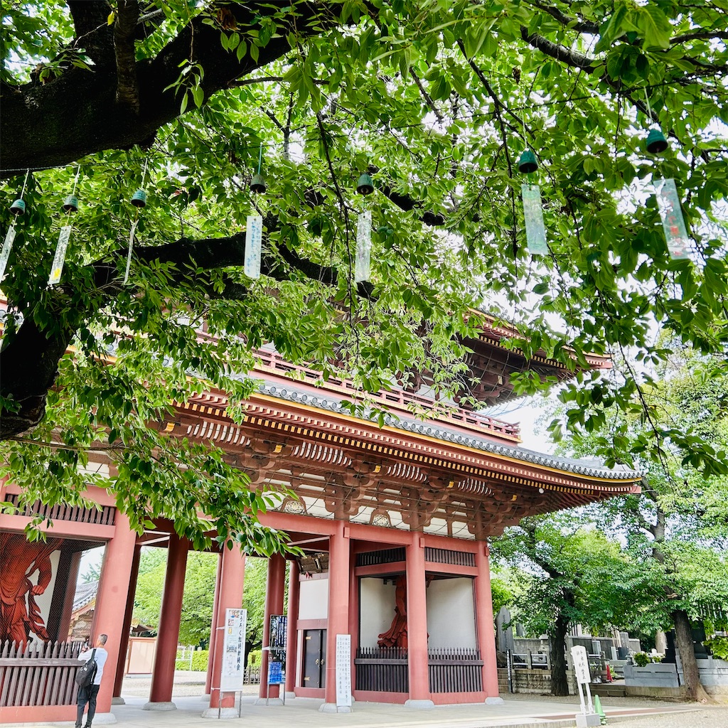 f:id:koshikakeol:20250520205426j:image