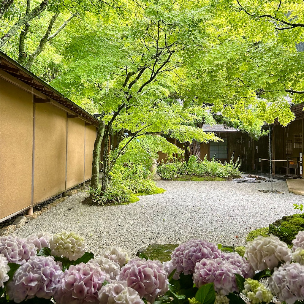 f:id:koshikakeol:20250520205820j:image