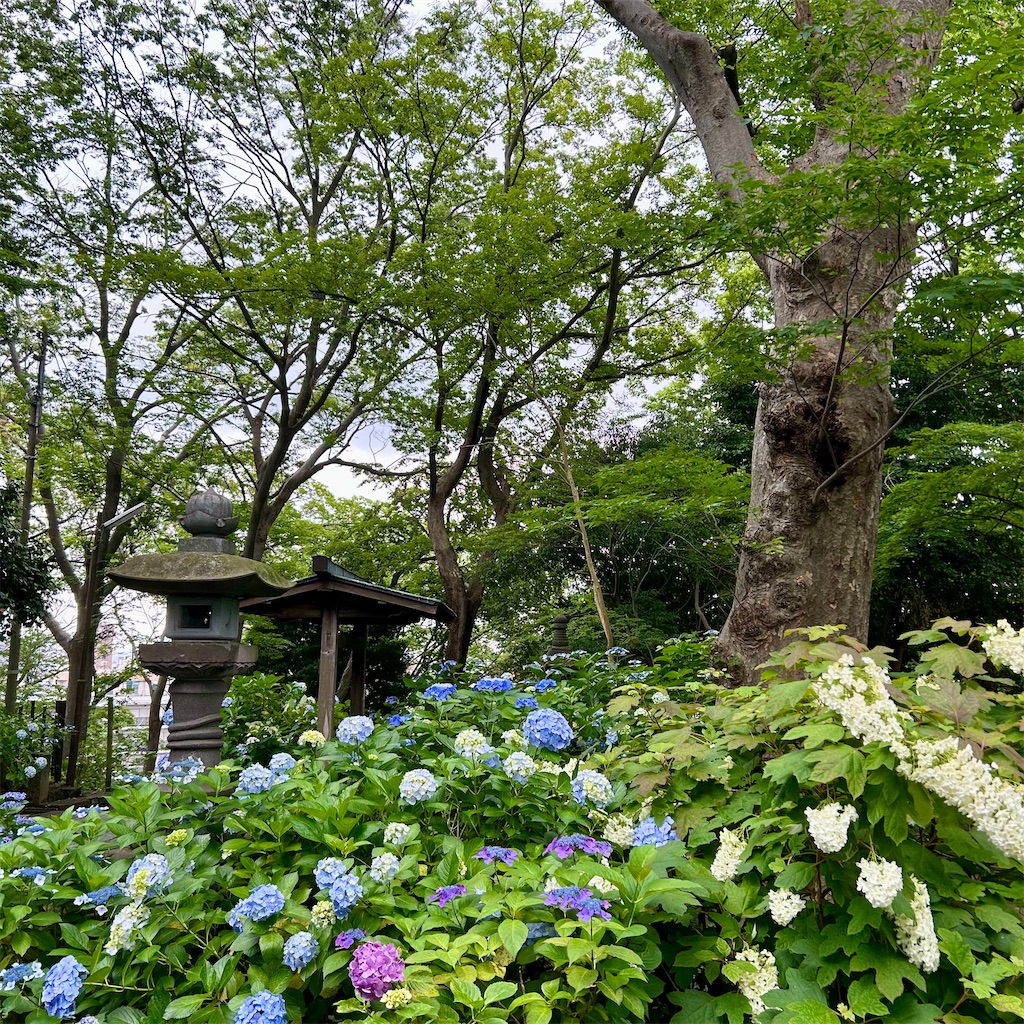 f:id:koshikakeol:20250520205823j:image