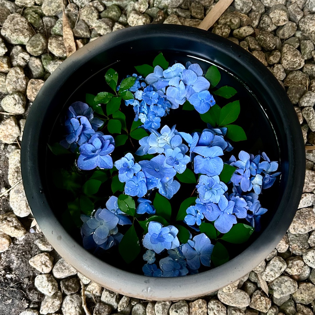 f:id:koshikakeol:20250520205832j:image