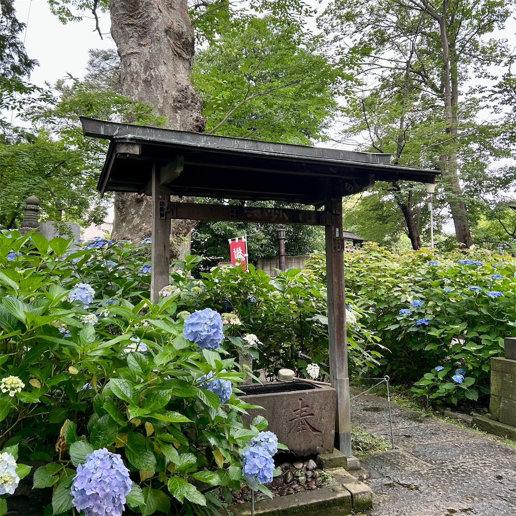 f:id:koshikakeol:20250520205836j:image