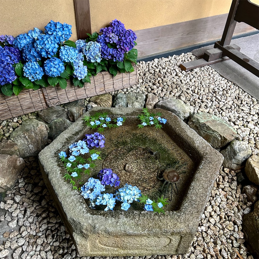 f:id:koshikakeol:20250520205839j:image