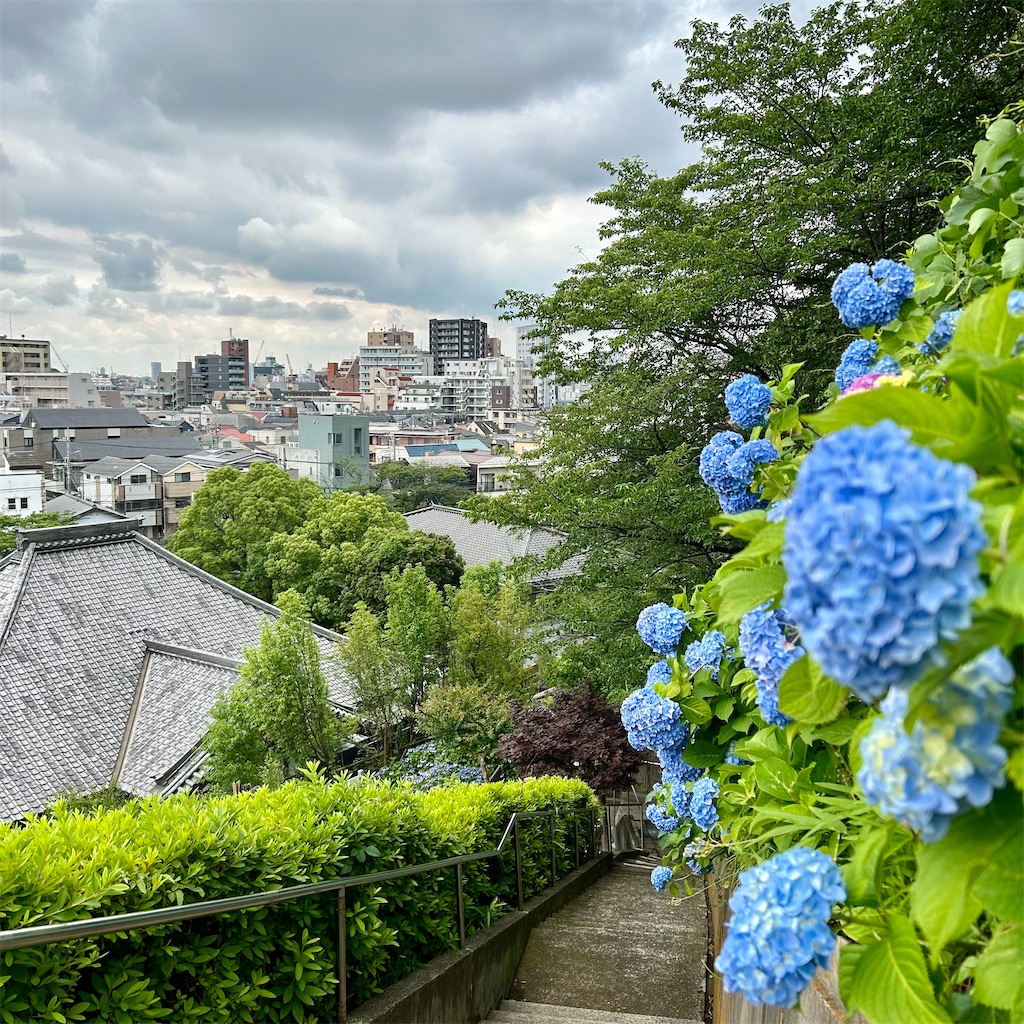 f:id:koshikakeol:20250521113255j:image