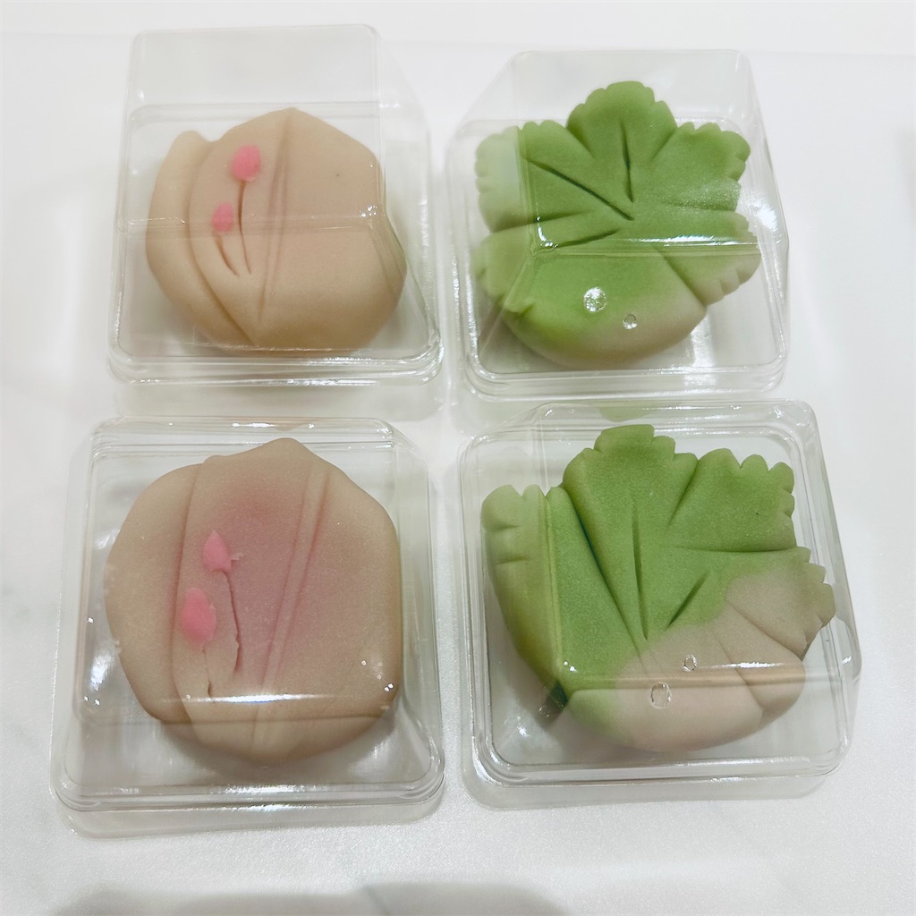 f:id:koshikakeol:20250527113851j:image