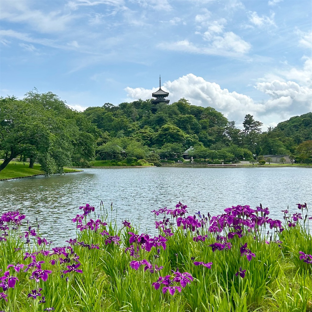 f:id:koshikakeol:20250603092219j:image