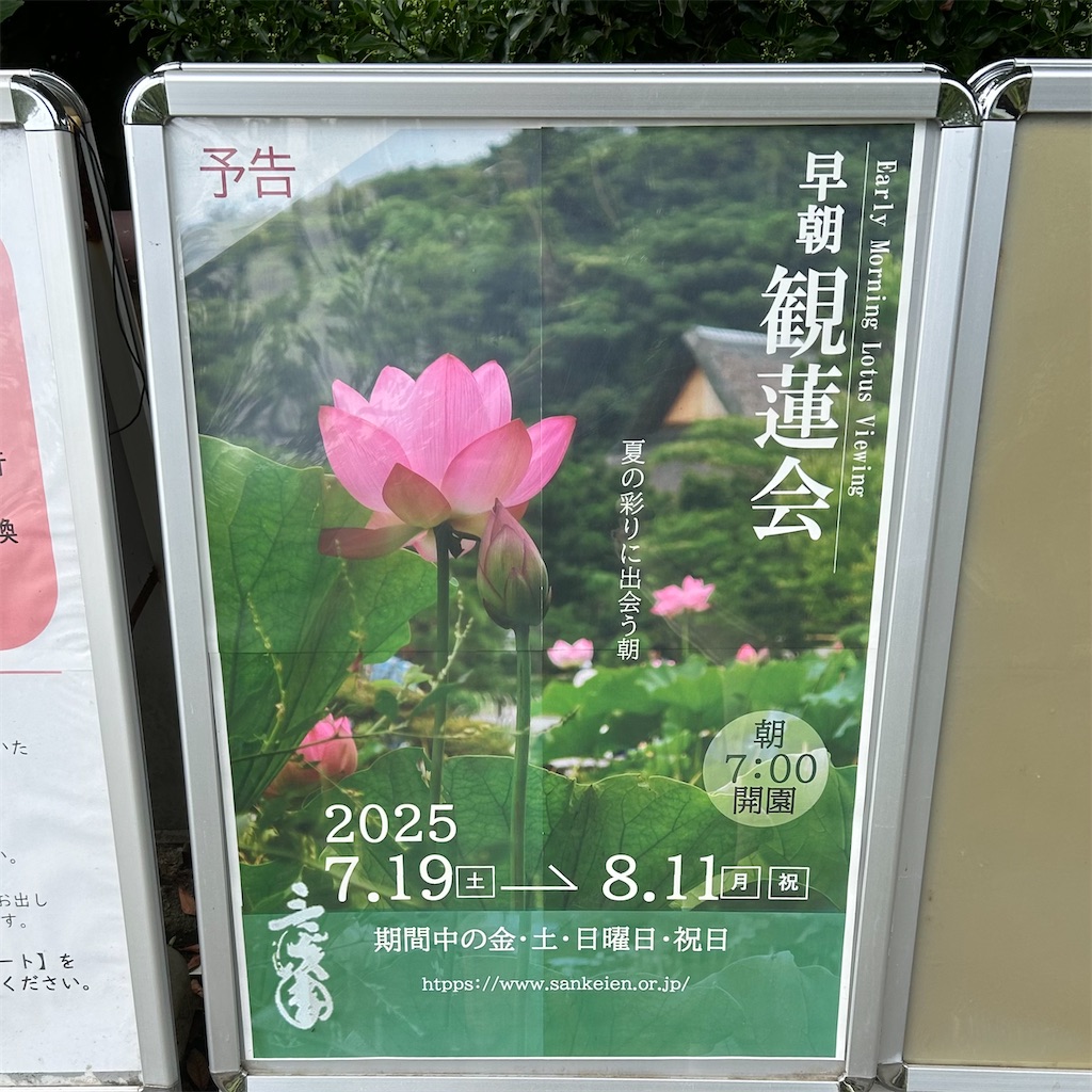 f:id:koshikakeol:20250603092426j:image