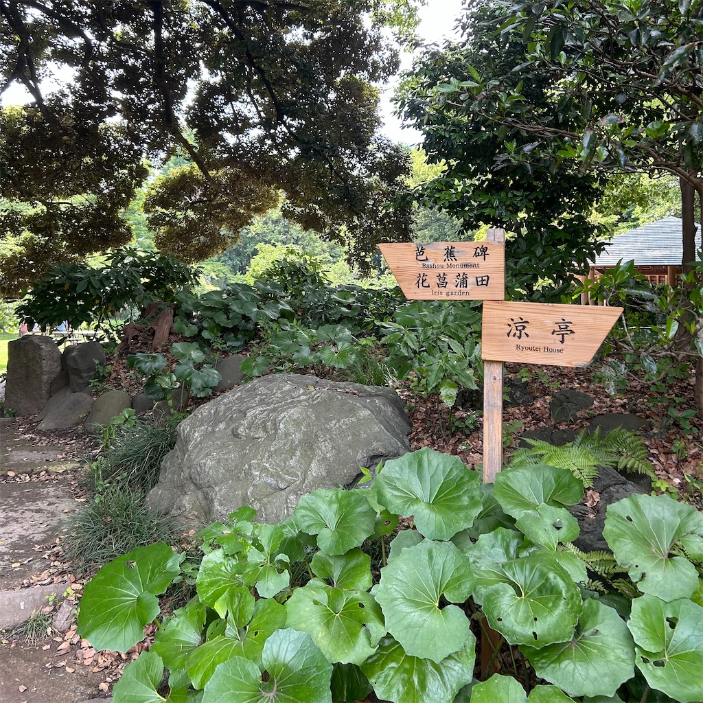 f:id:koshikakeol:20250608203124j:image