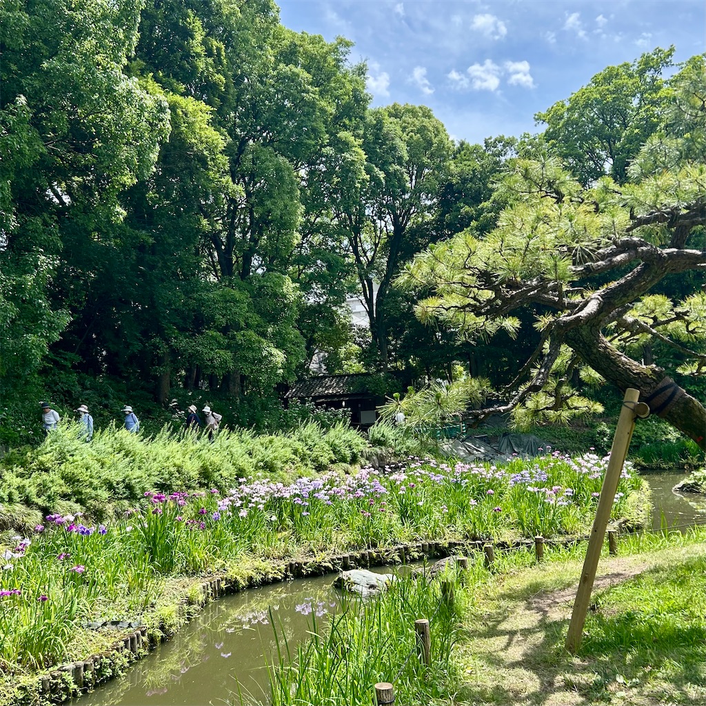 f:id:koshikakeol:20250608203156j:image