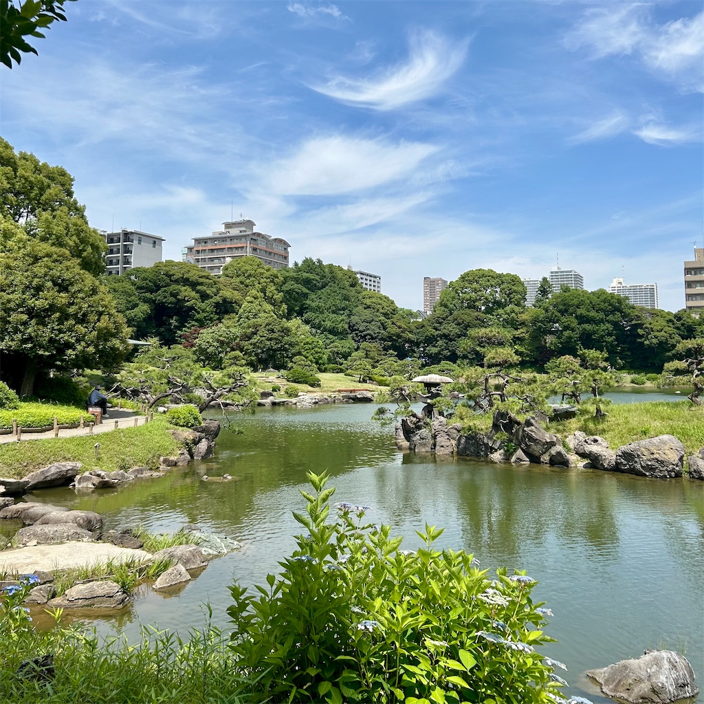 f:id:koshikakeol:20250608203312j:image