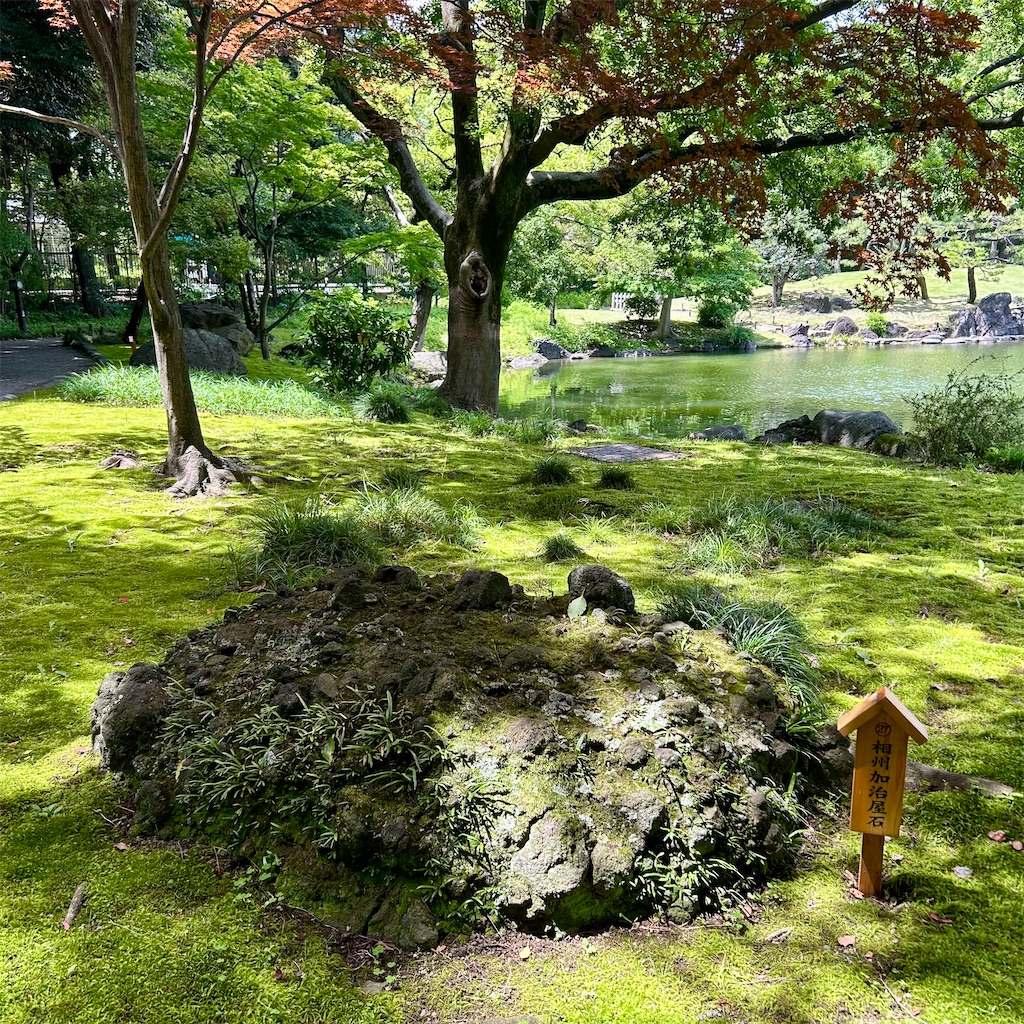 f:id:koshikakeol:20250608203326j:image