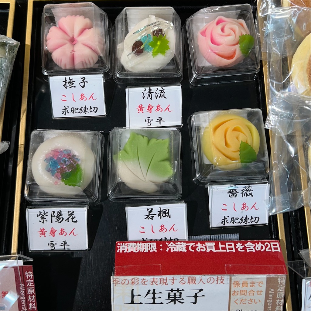 f:id:koshikakeol:20250614130238j:image