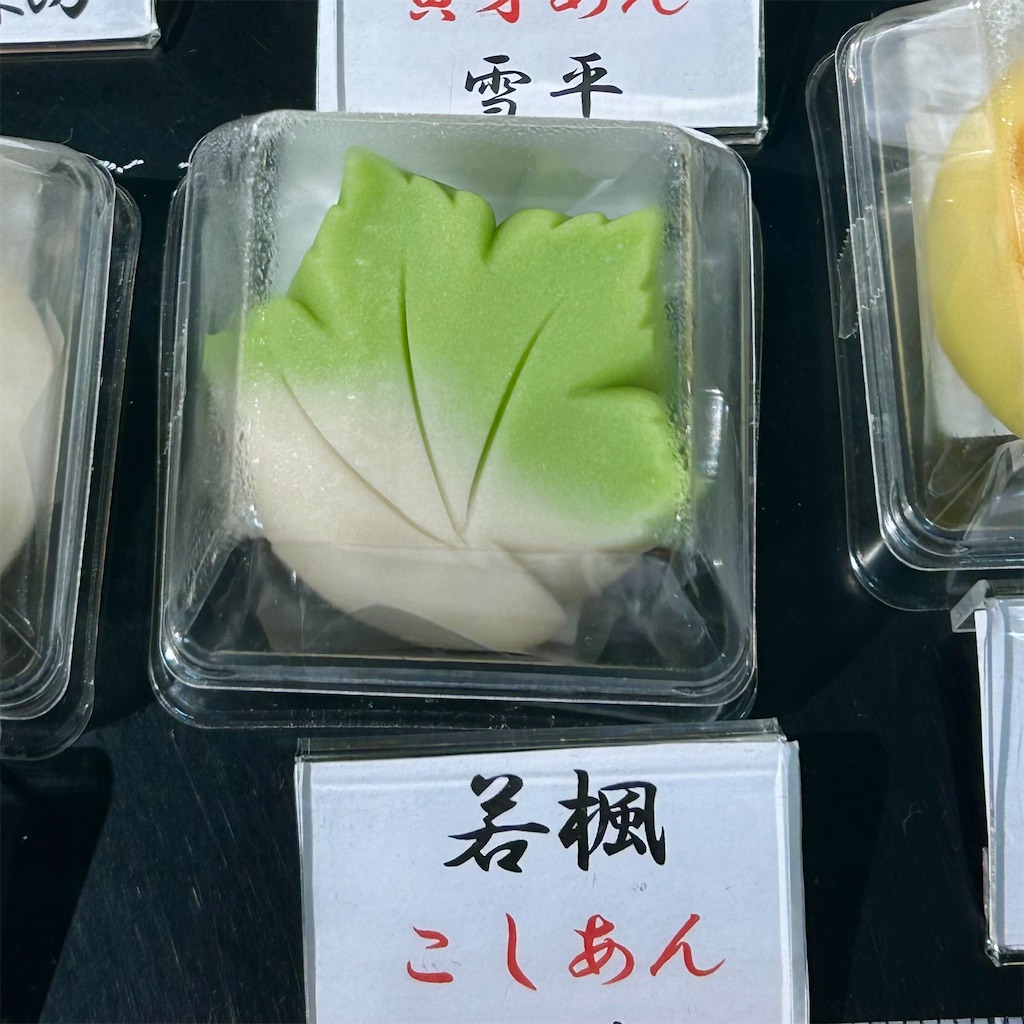 f:id:koshikakeol:20250614130318j:image f:id:koshikakeol:20250614130318j:image