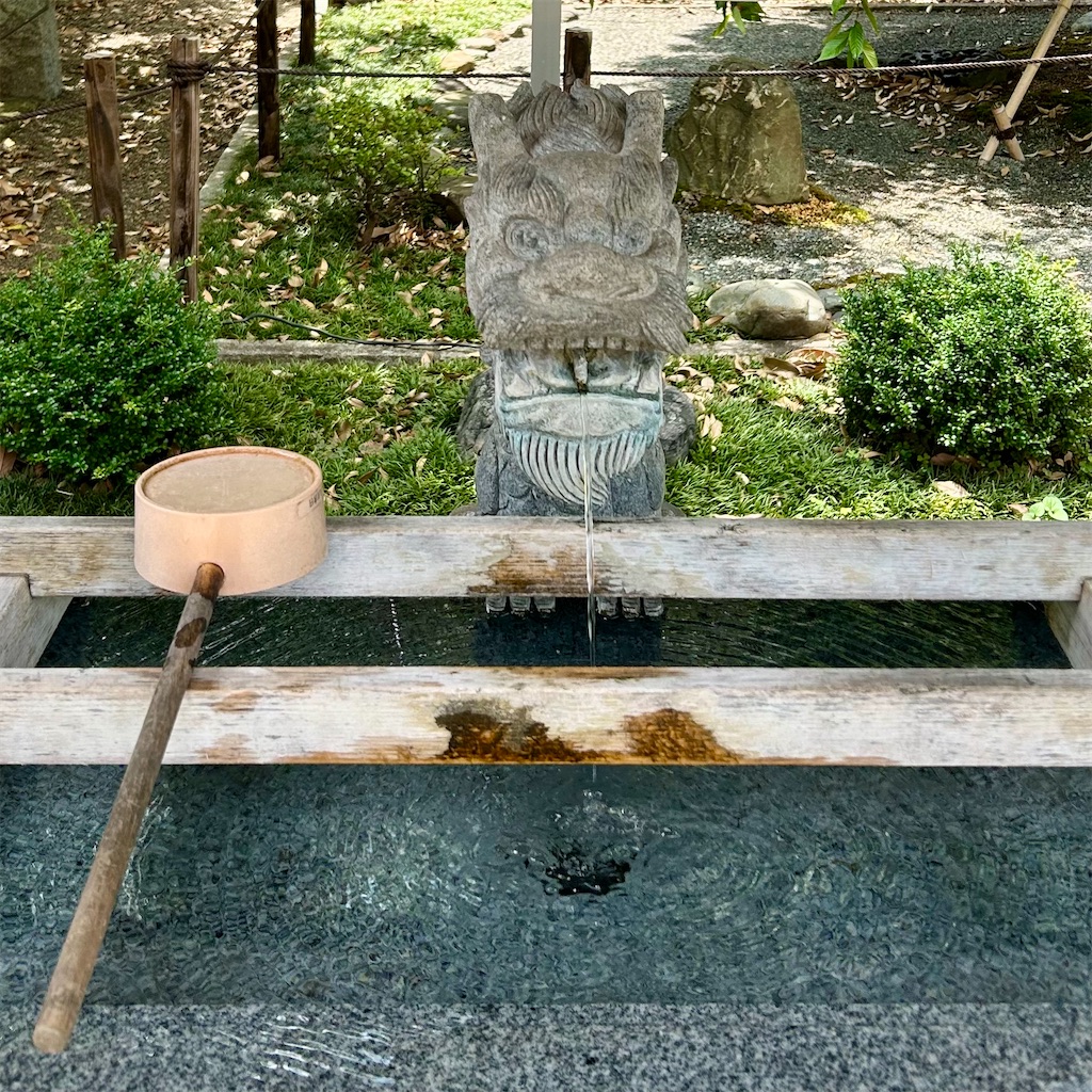樹齢600年の御神木と風鈴棚 | 白山神社（嶺白山神社） - 平日