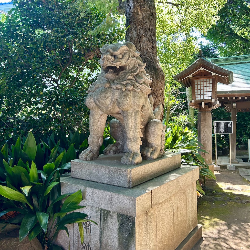 f:id:koshikakeol:20250731145500j:image