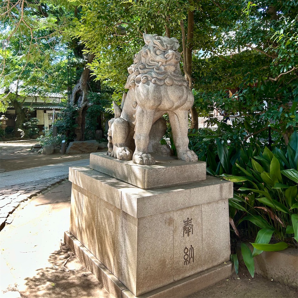 f:id:koshikakeol:20250731145504j:image