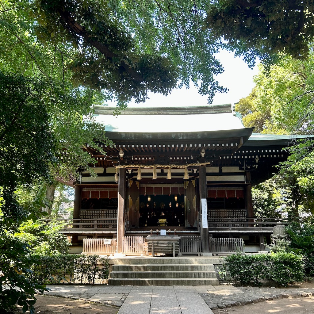 f:id:koshikakeol:20250731145535j:image